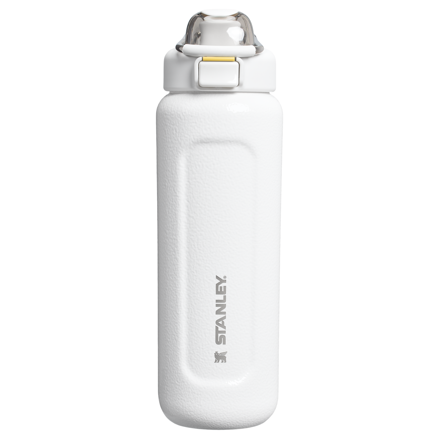 Stanley 1913 The Wellspring Bottle in Hammertone Frost